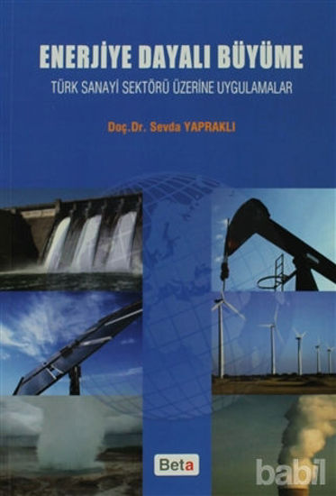 Picture of Enerjiye Dayalı Büyüme