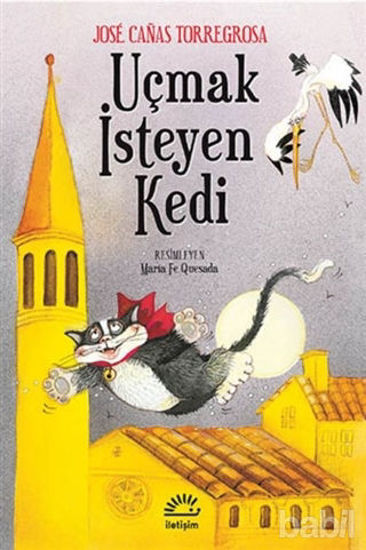 Picture of Uçmak isteyen Kedi