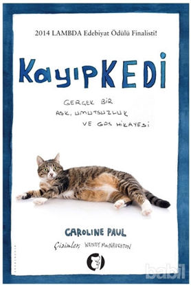 Picture of Kayıp Kedi 