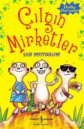 Picture of Çılgın Mirketler