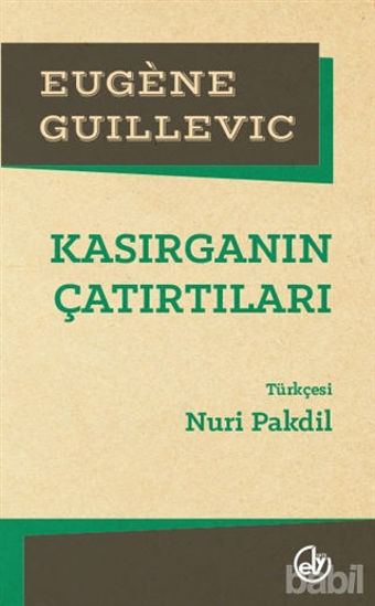 Picture of Kasırganın Çatırtıları