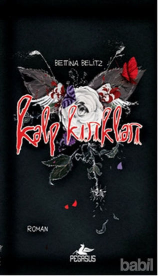 Picture of Kalp Kırıkları