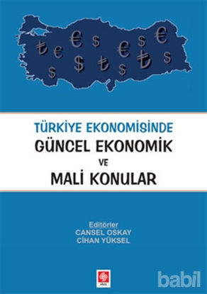 Picture of Türkiye Ekonomisinde Güncel Ekonomik ve Mali Konular