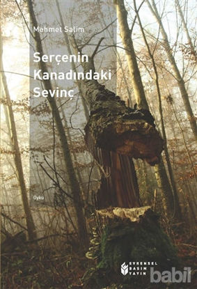 Picture of Serçenin Kanadındaki Sevinç