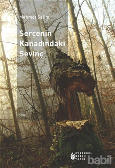 Picture of Serçenin Kanadındaki Sevinç
