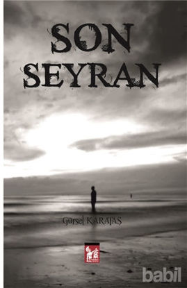 Picture of Son Seyran