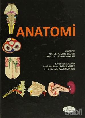 Picture of Anatomi
