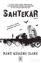 Picture of Sahtekar