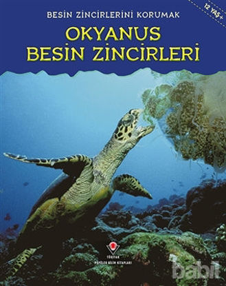 Picture of Besin Zincirlerini Korumak Okyanus Besin Zincirleri