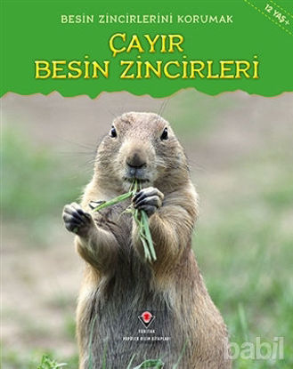 Picture of Besin Zincirlerini Korumak Çayır Besin Zincirleri