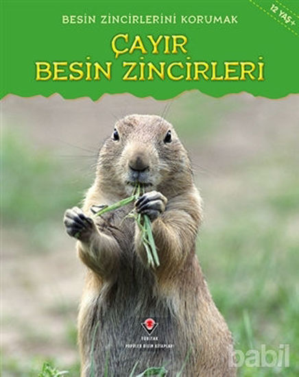 Picture of Besin Zincirlerini Korumak Çayır Besin Zincirleri