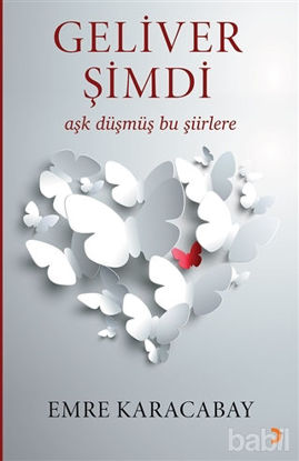 Picture of Geliver Şimdi