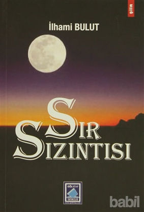 Picture of Sır Sızıntısı
