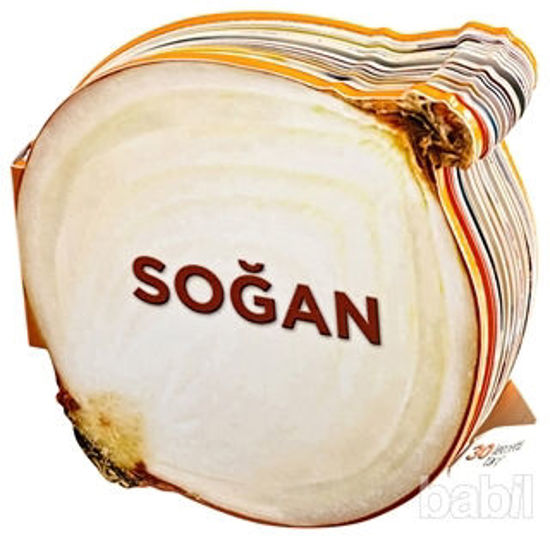 Picture of Soğan - Lezzetli Magnetler