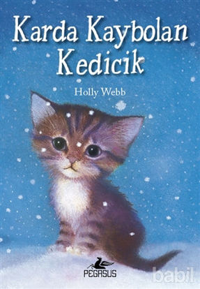 Picture of Karda Kaybolan Kedicik