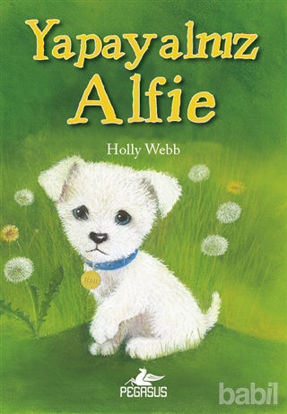 Picture of Yapayalnız Alfie