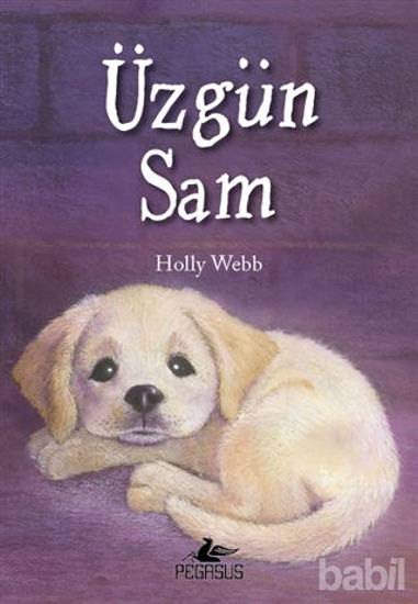Picture of Üzgün Sam