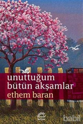 Picture of Unuttuğum Bütün Akşamlar