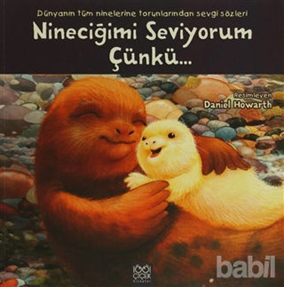 Picture of Nineciğimi Seviyorum Çünkü