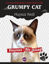 Picture of Grumpy Cat (Huysuz Kedi)