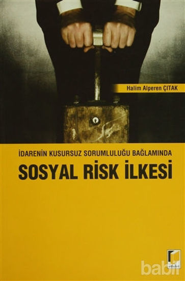 Picture of İdarenin Kusursuz Sorumluluğu Bağlamında Sosyal Risk İlkesi