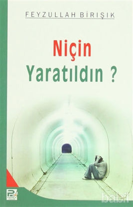 Picture of Niçin Yaratıldın?
