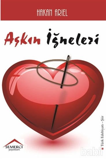 Picture of Aşkın İğneleri
