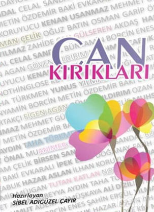 Picture of Can Kırıkları