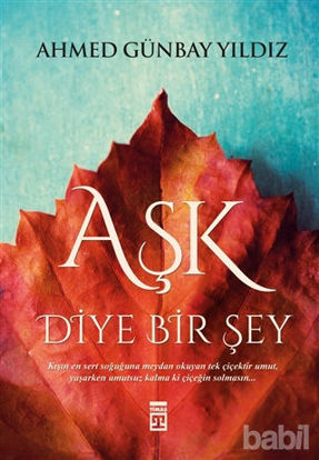 Picture of Aşk Diye Bir Şey