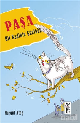 Picture of Paşa - Bir Kedinin Günlüğü