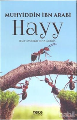 Picture of Hayy