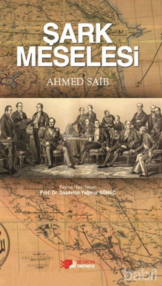 Picture of Şark Meselesi