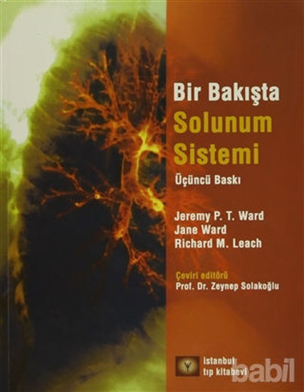 Picture of Bir Bakışta Solunum Sistemi