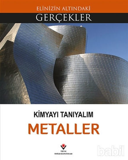 Picture of Elinizin Altındaki Gerçekler - Kimyayı Tanıyalım - Metaller