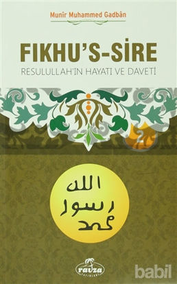 Picture of Fıkhu's-Sire 2