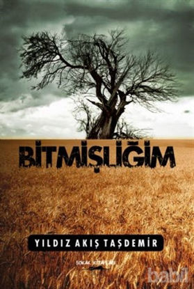 Picture of Bitmişliğim