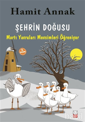 Picture of Şehrin Doğusu: Martı Yavruları Mevsimleri Öğreniyor