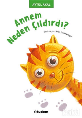 Picture of Annem Neden Çıldırdı
