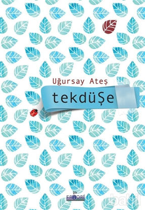 Picture of Tekdüşe