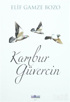Picture of Kambur Güvercin