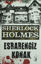 Picture of Sherlock Holmes : Esrarengiz Konak
