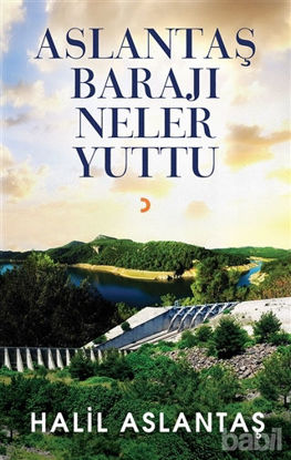 Picture of Aslantaş Barajı Neler Yuttu