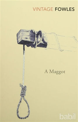 Picture of A Maggot