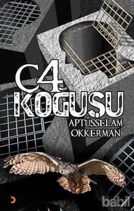 Picture of C-4 Koğuşu