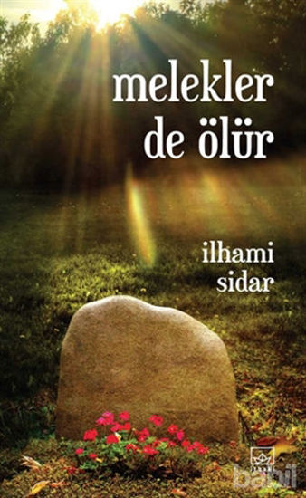 Picture of Melekler de Ölür