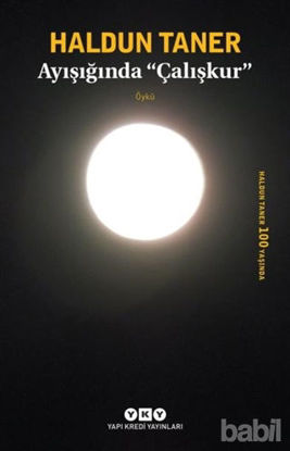 Picture of Ayışığında Çalışkur