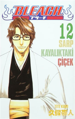 Picture of Bleach 12. Cilt
