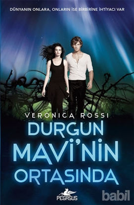 Picture of Durgun Mavi'nin Ortasında