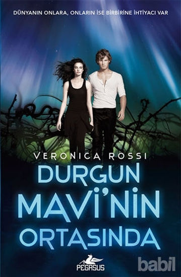 Picture of Durgun Mavi'nin Ortasında