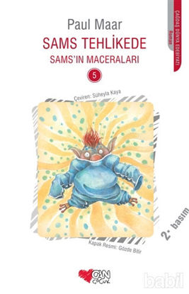 Picture of Sams Tehlikede